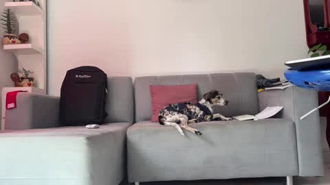 Snapshot of skinnylatin69 chatting on 01-31-25, 06:36 skinnylatin69 online show from 01-31-25, 06:36