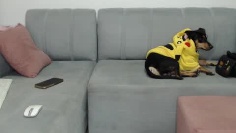 Snapshot of skinnylatin69 chatting on 02-08-25, 02:26 skinnylatin69 online show from 02-08-25, 02:26