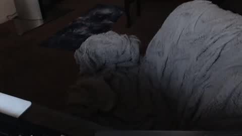 SKYLE   online show from 12-19-24, 05:07