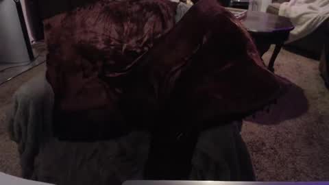 SKYLE   online show from 09-24-25, 07:01