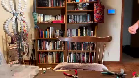 Sky Winters online show from 02-19-25, 11:46