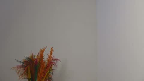 Snapshot of skyy_brown chatting on 02-03-25, 03:38 Bella online show from 02-03-25, 03:38