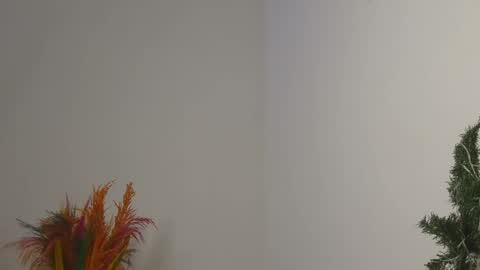 Snapshot of skyy_brown chatting on 02-04-25, 12:08 Bella online show from 02-04-25, 12:08