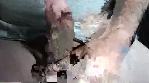 Snapshot of slash1710 chatting on 09-13-25, 10:31 Z online show from 09-13-25, 10:31