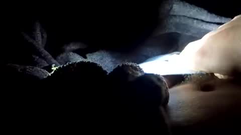 Snapshot of slimbigd69420 chatting on 11-17-25, 05:02 slimbigd69420 online show from 11-17-25, 05:02