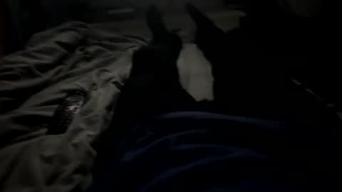 slimboy6900 online show from 02-23-26, 01:36