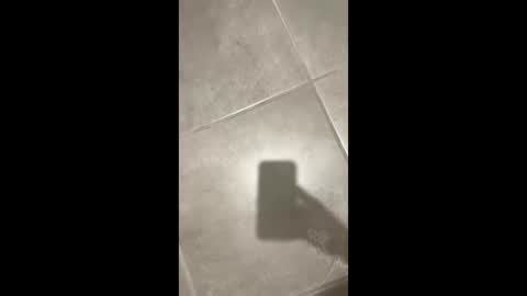 slimlord90 online show from 12-22-24, 04:28