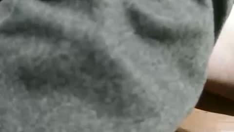 Snapshot of slimsunny chatting on 12-04-24, 05:49 slimsunny online show from 12-04-24, 05:49