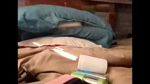 Snapshot of sluttyslut123797367 chatting on 03-30-26, 01:56 Nastyguurl online show from 03-30-26, 01:56