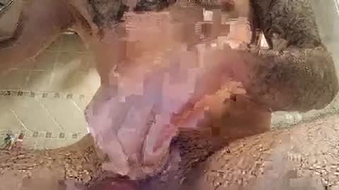 Snapshot of smallone8825 chatting on 03-10-25, 06:27 smallone8825 online show from 03-10-25, 06:27