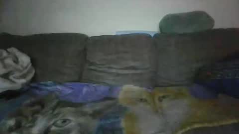 Snapshot of smaug6606 chatting on 11-24-25, 06:46 smaug6606 online show from 11-24-25, 06:46