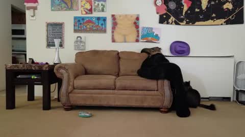 Big Dawg online show from 07-26-26, 02:57