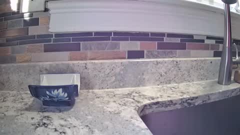 smthbtm53 online show from 03-14-26, 01:16