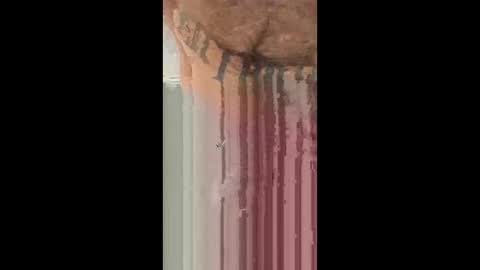 smyklops online show from 01-08-26, 09:39