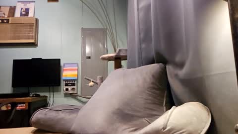 Snackyyyy online show from 02-06-26, 01:10