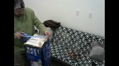 snizniz online show from 02-11-25, 06:30