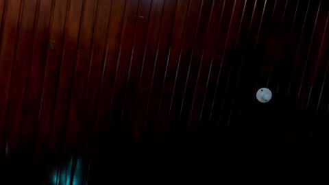 leidy online show from 12-24-24, 04:51