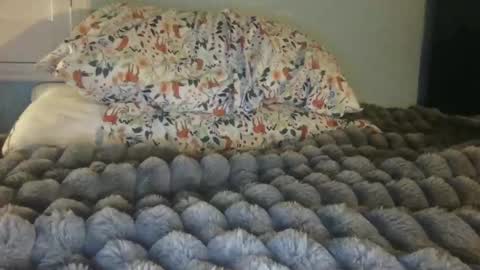 soccerstarnoww online show from 01-24-25, 10:00