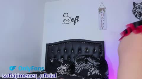 Snapshot of sofiajimenez_ chatting on 02-23-25, 11:25 Sofia Jimenez online show from 02-23-25, 11:25