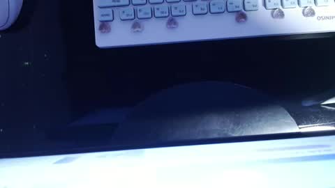 SOFIA NIX online show from 01-13-25, 06:06