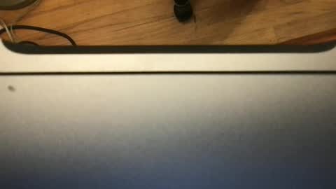 soflastiffyboy69 online show from 11-13-25, 08:19