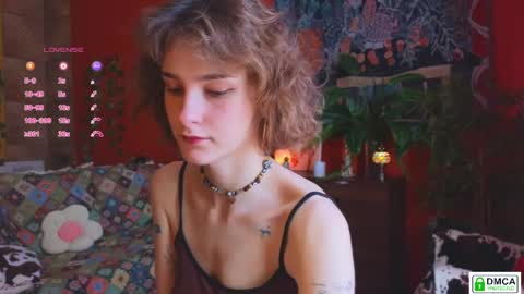 Snapshot of soft_animal chatting on 05-06-26, 08:19 E online show from 05-06-26, 08:19