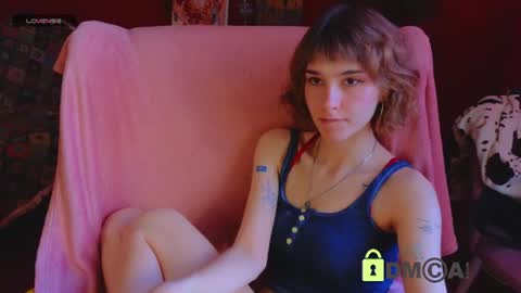 Snapshot of soft_animal chatting on 06-12-26, 12:04 E online show from 06-12-26, 12:04