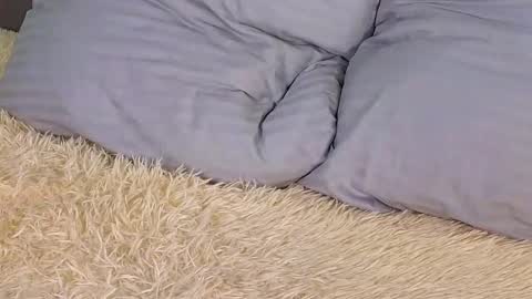 Milisa online show from 03-02-25, 06:19