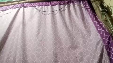 Snapshot of soft_bads chatting on 09-11-25, 12:38 soft_bads online show from 09-11-25, 12:38