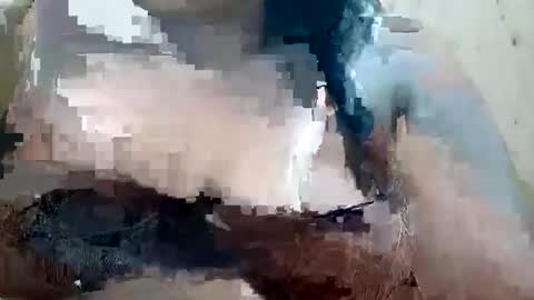 Snapshot of soft_bads chatting on 10-09-25, 10:46 soft_bads online show from 10-09-25, 10:46