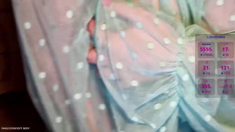 Snapshot of soft_body chatting on 02-07-25, 03:08 Hi Im Sofia online show from 02-07-25, 03:08