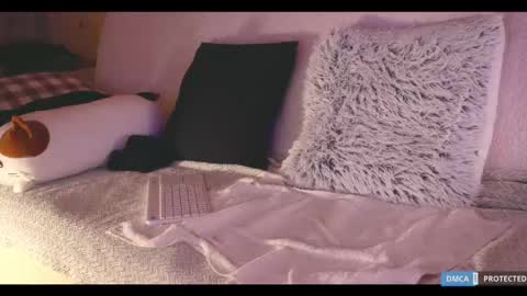 Snapshot of softlee chatting on 02-18-25, 08:03 Lisa online at .11 from about utc online show from 02-18-25, 08:03