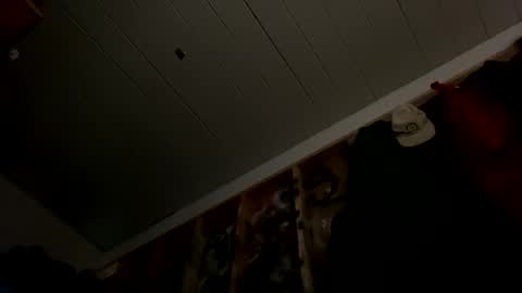 Snapshot of sohan730903 chatting on 02-08-26, 01:31 sohan730903 online show from 02-08-26, 01:31