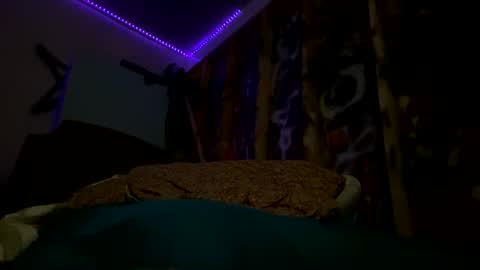 Snapshot of sohan730903 chatting on 02-15-26, 07:51 sohan730903 online show from 02-15-26, 07:51