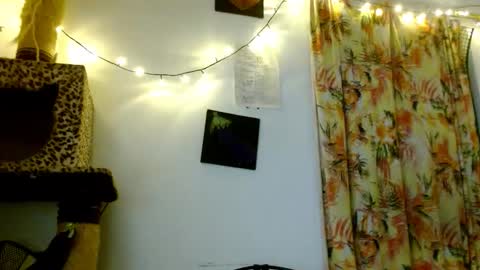 Sofia online show from 02-19-26, 03:46