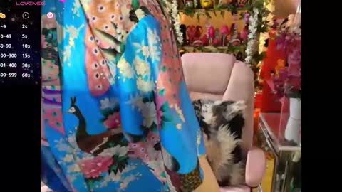 solesticia online show from 02-03-26, 05:51