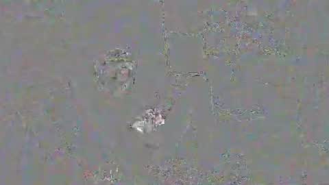 Snapshot of solilay chatting on 03-29-26, 02:28 solilay online show from 03-29-26, 02:28