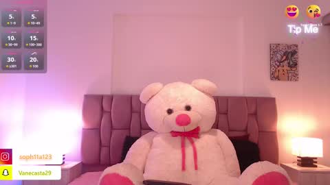 Snapshot of sophia_karsonn chatting on 12-18-24, 10:40 Sophia Carson online show from 12-18-24, 10:40