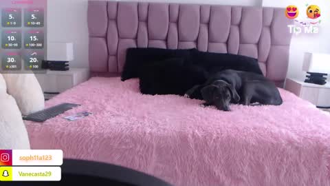 Snapshot of sophia_karsonn chatting on 01-01-25, 05:11 Sophia Carson online show from 01-01-25, 05:11