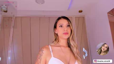 Snapshot of sophie_velvet18 chatting on 12-03-25, 11:52 Sophie online show from 12-03-25, 11:52