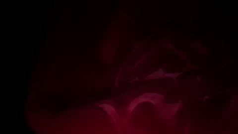 soulmate198781 online show from 12-26-24, 07:05