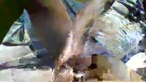 source1012 online show from 01-16-25, 11:59