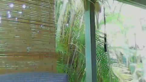 soveryhandsome online show from 01-04-25, 05:58