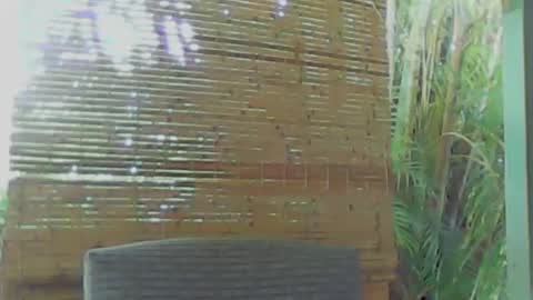 soveryhandsome online show from 01-09-25, 05:34