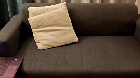 Andy online show from 02-22-26, 11:58