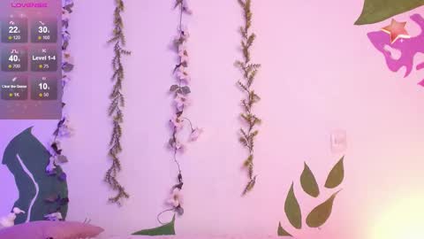 Snapshot of soysilvanna_ chatting on 02-23-25, 02:51 online show from 02-23-25, 02:51