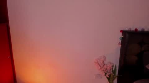 Snapshot of soytucolor chatting on 01-15-25, 12:30 Paula add me on snap online show from 01-15-25, 12:30