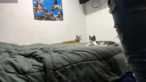 Snapshot of spartan_knight16 chatting on 09-13-25, 09:47 spartan_knight16 online show from 09-13-25, 09:47