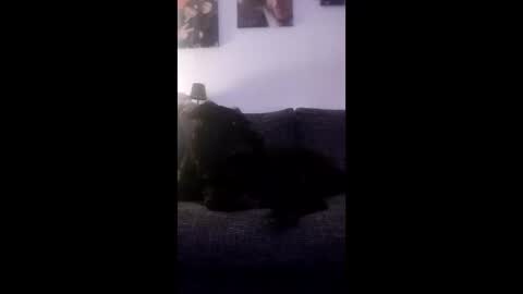 spermaking854897 online show from 03-14-26, 04:07