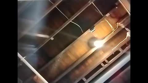 spundaddyandprincess online show from 12-01-24, 04:29